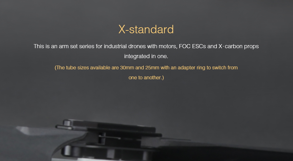 X-Standard-b01.jpg