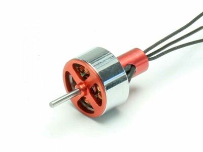 Brushless Motor NANO 5GS